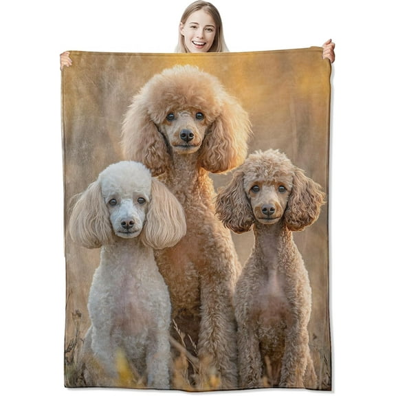 Realistic Poodle Flannel Throw Blanket 60x50 Inch Inch, Elegant Dog in Warm Sunset Light Blankets Soft Cozy Fleece Throws for Pet Lover Bed Sofa Dorm Living Room Puppy Home Decor Gifts
