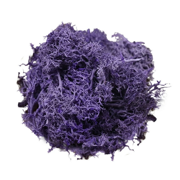 Realistic Preserved Moss Mat, DIY Natural Dry Moss for Potted Plants Fillers, Wedding Centerpieces, and Floral Background Decor, Easy to Cut & Shape