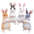 thumbnail image 1 of Realistic Rabbit Plush Animal -11.8 ''/8 '' Rabbit Plush Toy, Children's Easter Companion Toy Gift, 1 of 12