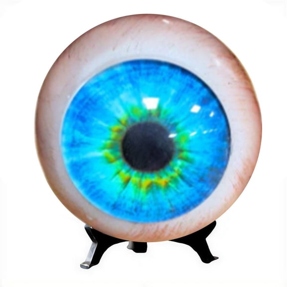 Realistic Resin Eyeball Decoration Creepy Desk Ornament Display Collectible