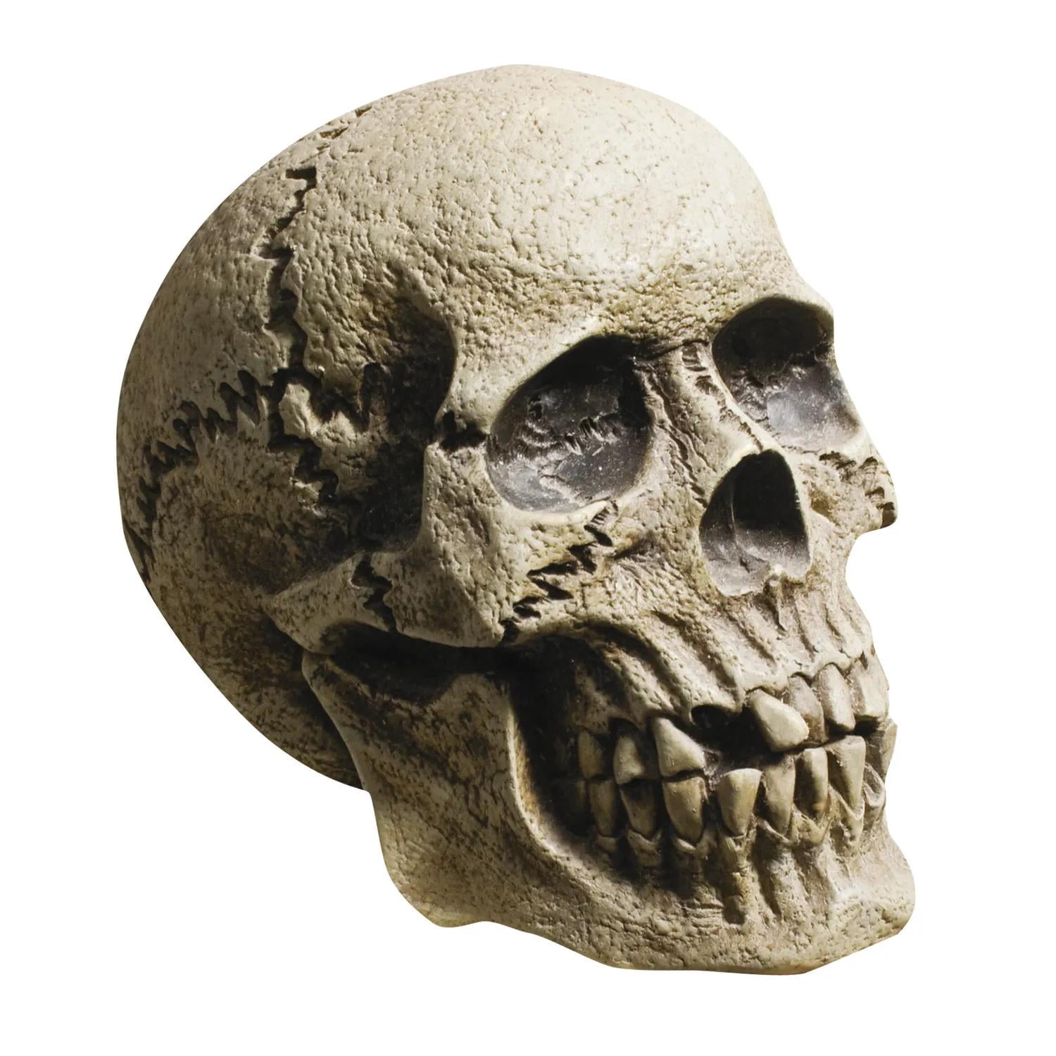 Realistic Rotting Skull