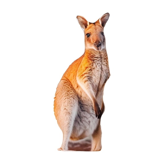 Realistic Safari Animal Plush Dolls, Soft Stuffed Hugging Pillows for Living Room Decor 2026 Gift Selection Series, Kangaroo