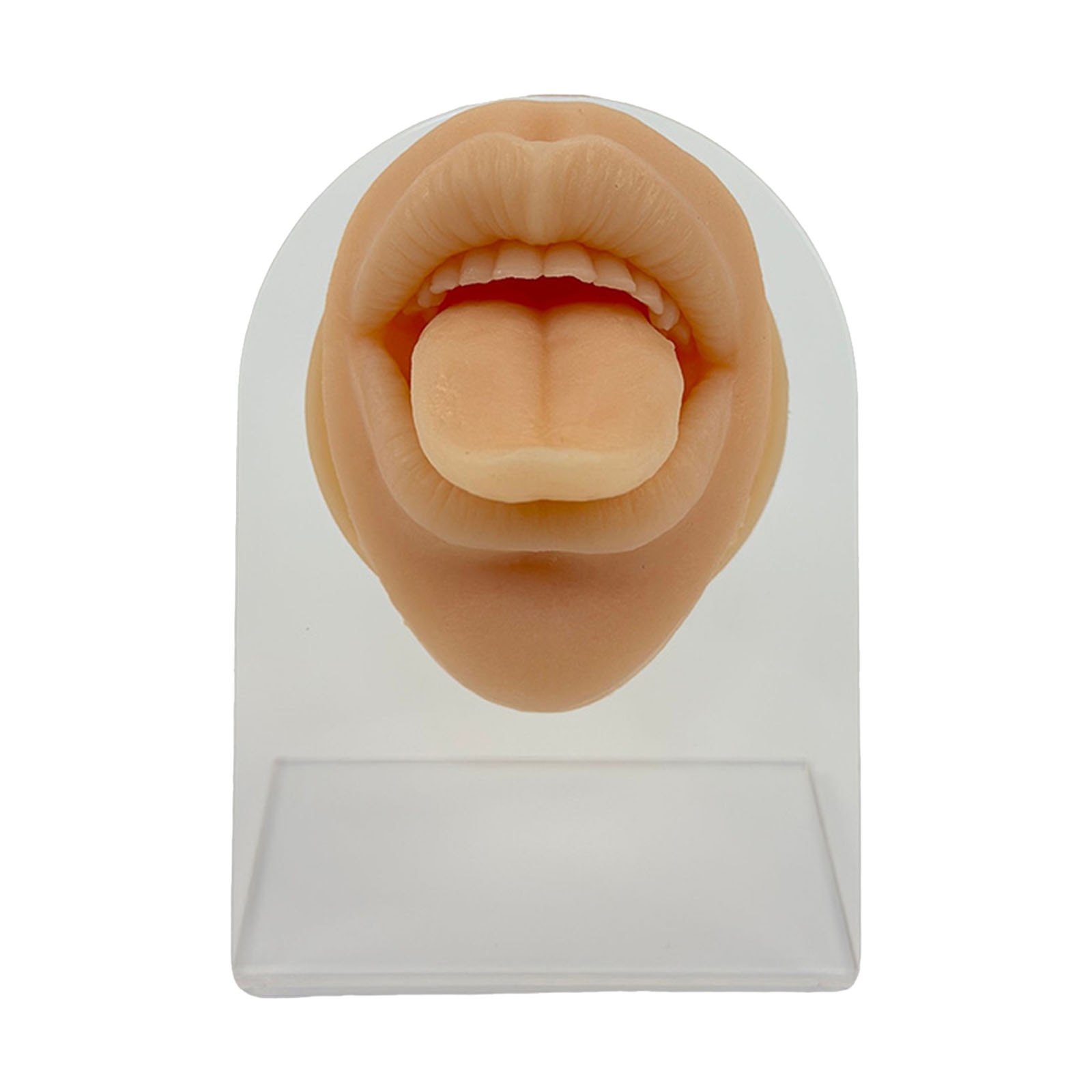 Realistic Silicone Facial Piercing Trainer, with Multiple Practice Pads ...