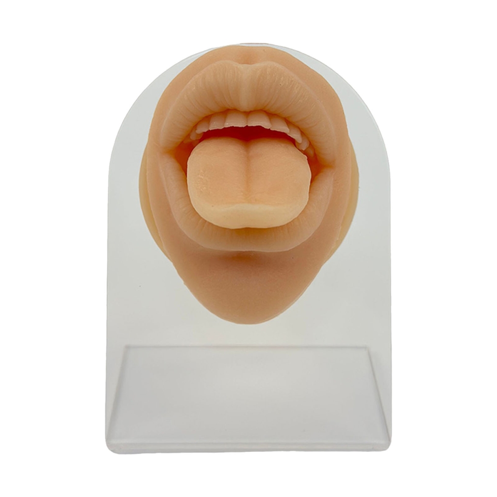 Realistic Silicone Facials Piercing Practice Model Piercing Simulation ...