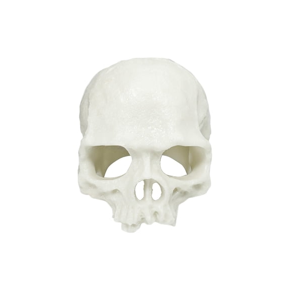 Realistic Skull Decor Reptile Hideout for Tank Decorative Skeleton Head Hides and Caves for Fish Ball Python White