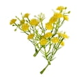 thumbnail image 1 of Realistic Small Artificial Flowers, Faux Blooms for Diy Craft Wedding Bouquet, Plastic Floral Picks for Home Centerpiece Decor, 3X2X2In (Yellow), 1 of 5