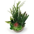 Realistic Small Desktop Artificial Succulent Plant Group in Natural