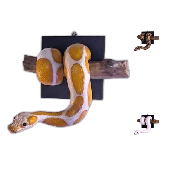 Realistic Snake Wall Art Sculpture, Hand-Painted Resin Ball Python Wall Decor, Unique Reptile Hanging Ornament for Home Interior