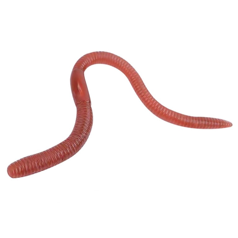 earthworm fishing lures OriGlam 100pcs Soft Silicone Maggot Worm, Soft Artificial Bread Worm Lure, Biomimetic Worm Fishing Lures Simulation Bait Fake Worm : Sports & Outdoors Suit for fishing HENGJIA Worm Fishing Bait Kit,