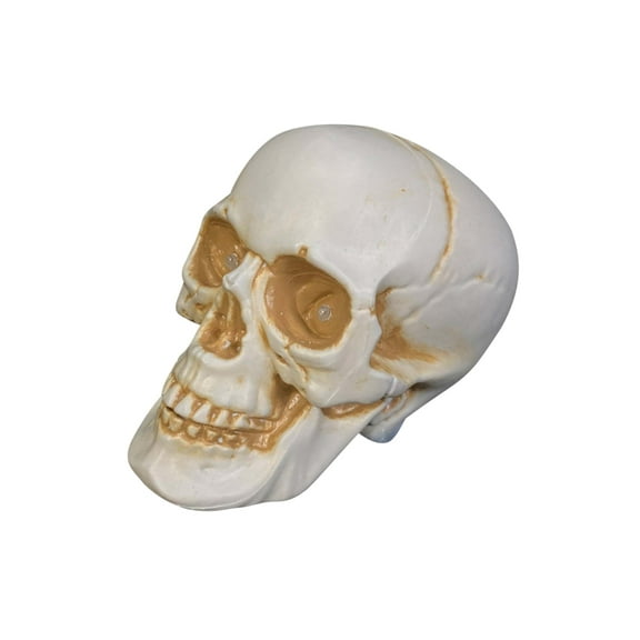 LED Eyes Realistic Walking Skull