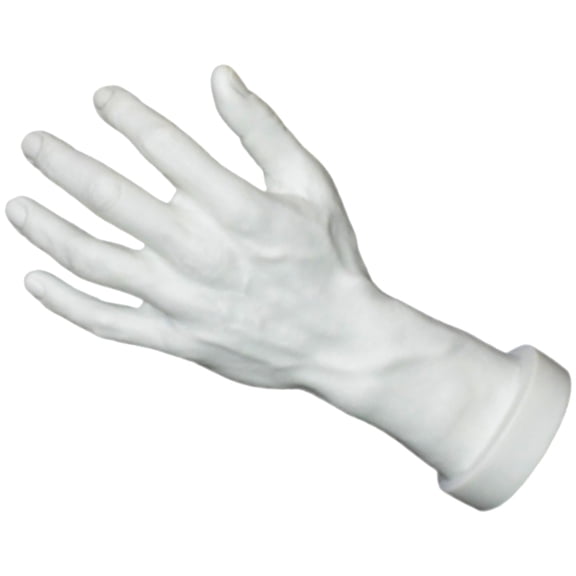 Realistic Touch Hand Mold Multipurpose Display Tool Easy to Clean PVC Texture