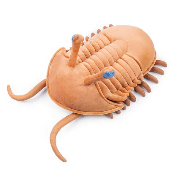 Realistic Trilobite Plush Animal Plush Toy - Cambrian Sea Creature for Kids,Home Decor,Hugging Toy-Brown 12"