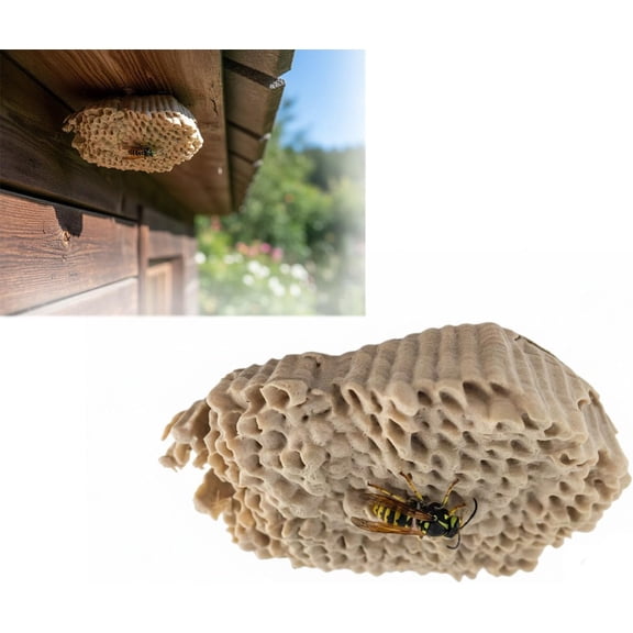 Realistic Wasp Nest Geocache Container with Magnet, Hidden Outdoor Cache for Geocaching, Camouflage Fake Wasp Nest Storage Box for Keys, Notes, Small Items