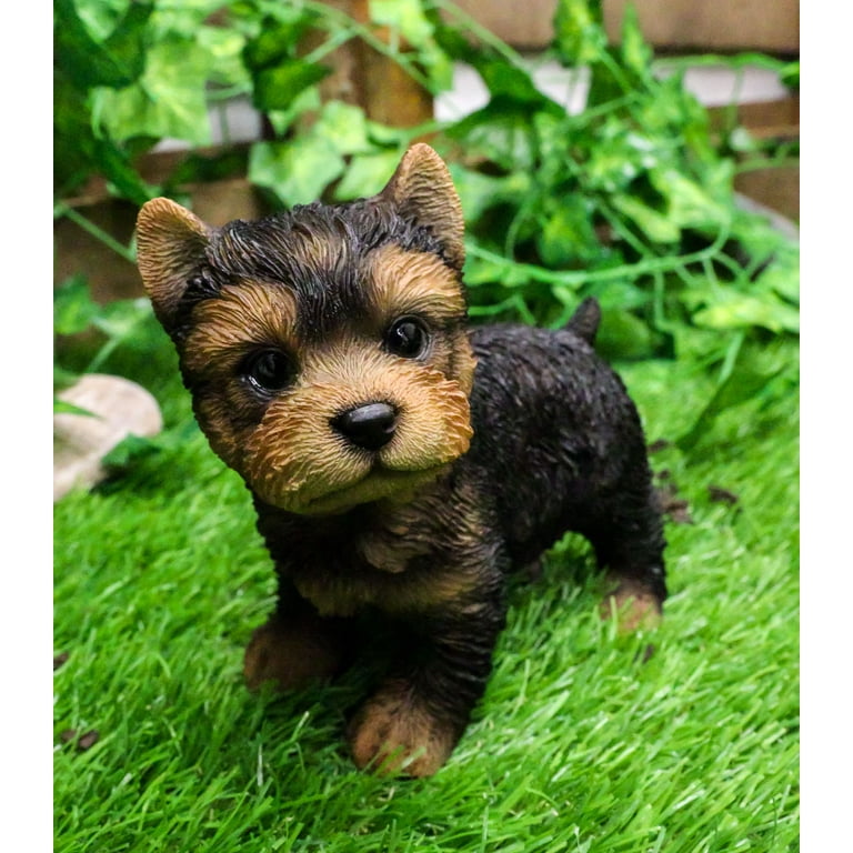 Toy yorkie puppies cheap