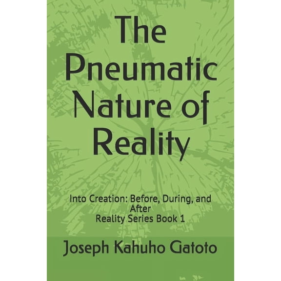 Reality: The Pneumatic Nature of Reality : Into Creation: Before, During, and After (Series #1) (Paperback)