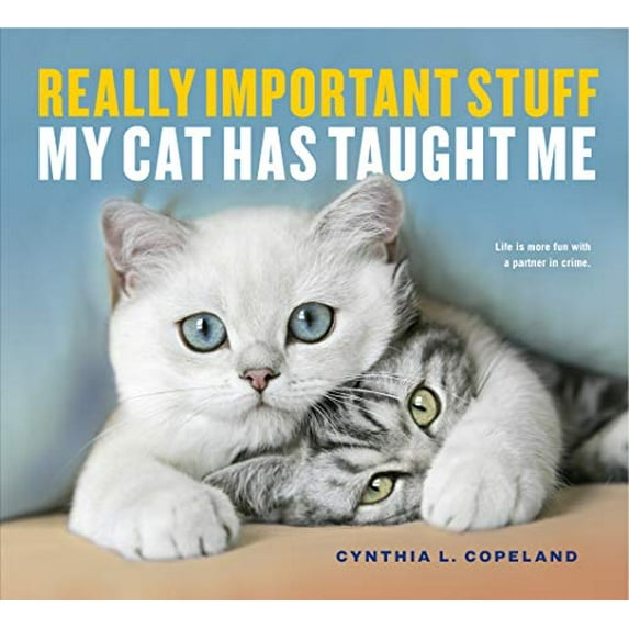 Pre-Owned Really Important Stuff My Cat Has Taught Me (Paperback) 1523501480 9781523501489