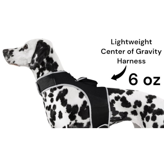 Realtime GPS System Rechargeable Mini GSM GPRS Portable Pet Tracker Size:XS