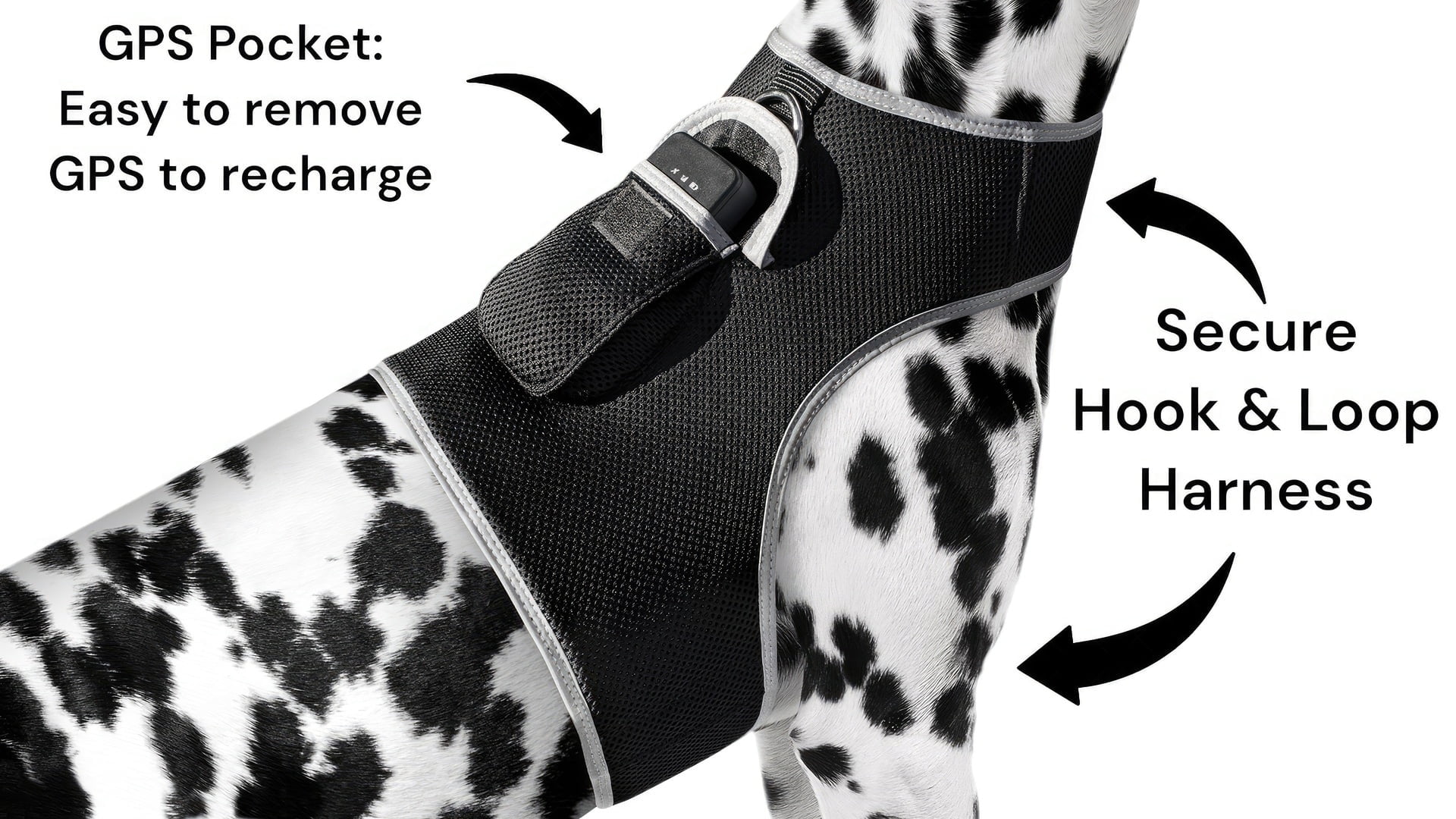 Realtime GSM GPS Pet Tracker Small Wireless Tracking Collars for Dogs Size:XXL