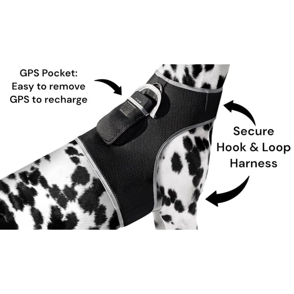 Realtime GSM GPS Pet Tracker Small Wireless Tracking Collars for Dogs Size:XXL