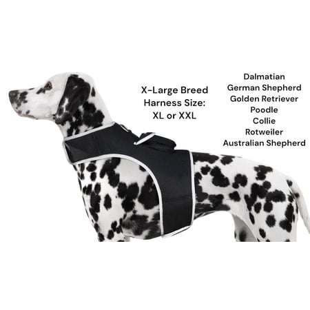 SMS Realtime Accurate Tracking w/ Mini Waterproof GPS GSM Pet Tracker Size:XXL