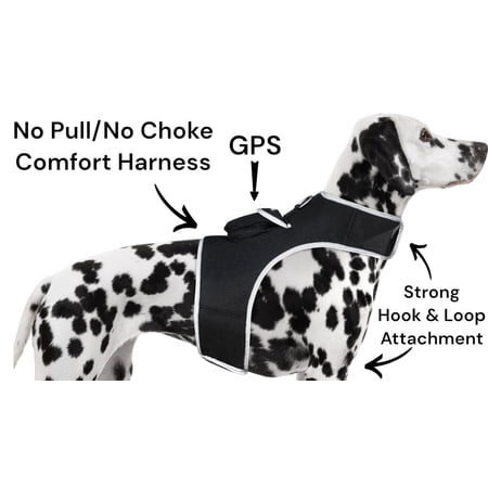 Realtime Waterproof Pocketi GPS GSM Pet Location Tracker for Cat & Dog Size:XL