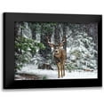 thumbnail image 1 of Reames, Teri 24x18 Black Modern Framed Museum Art Print Titled - Snow Storm And The Buck Deer, 1 of 5