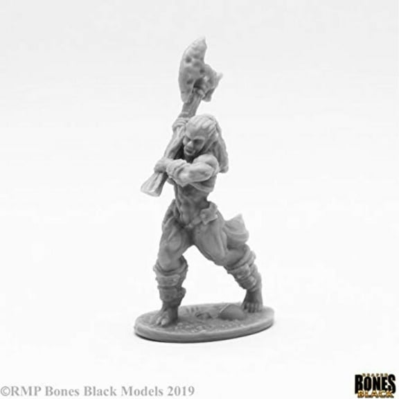 Reaper Bones Black: Jade Fire Champion