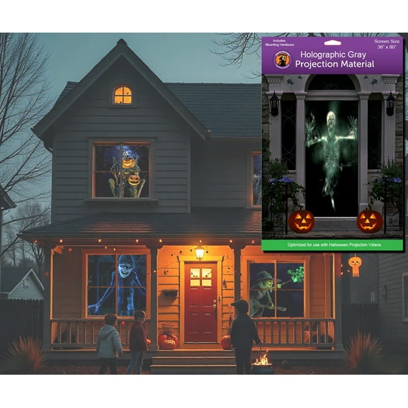 Reaper Brothers Holographic Gray 36" X 80" High Resolution Rear Projection Screen