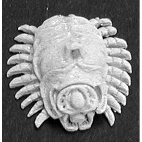 Reaper Miniatures Acid Beetles (2 Pieces) #02844 Dark Heaven Unpainted Metal