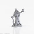 thumbnail image 1 of Brinewind Fruit Lady Miniature 25mm Heroic Scale Figure Dark Heaven Legends Reaper Miniatures, 1 of 2