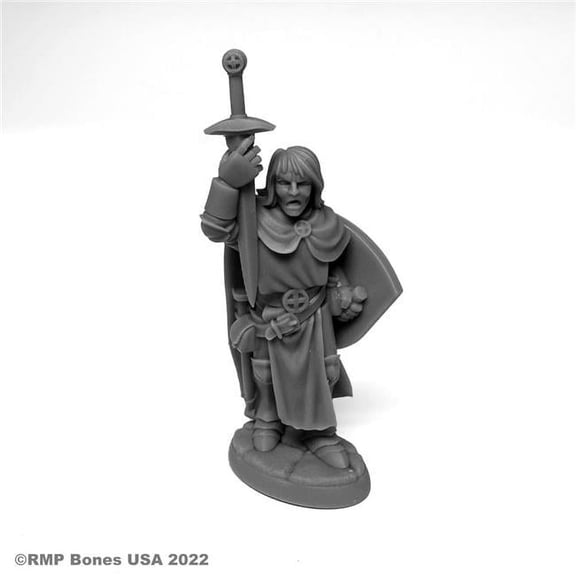 Sir Danarel The Holy Miniature 25mm Heroic Scale Figure 3D Printed Dungeon Dwellers Reaper