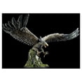 thumbnail image 1 of Reaper Miniatures REM77946 Bones-Grimtalon the Roc Boxed Miniature Set, 1 of 2