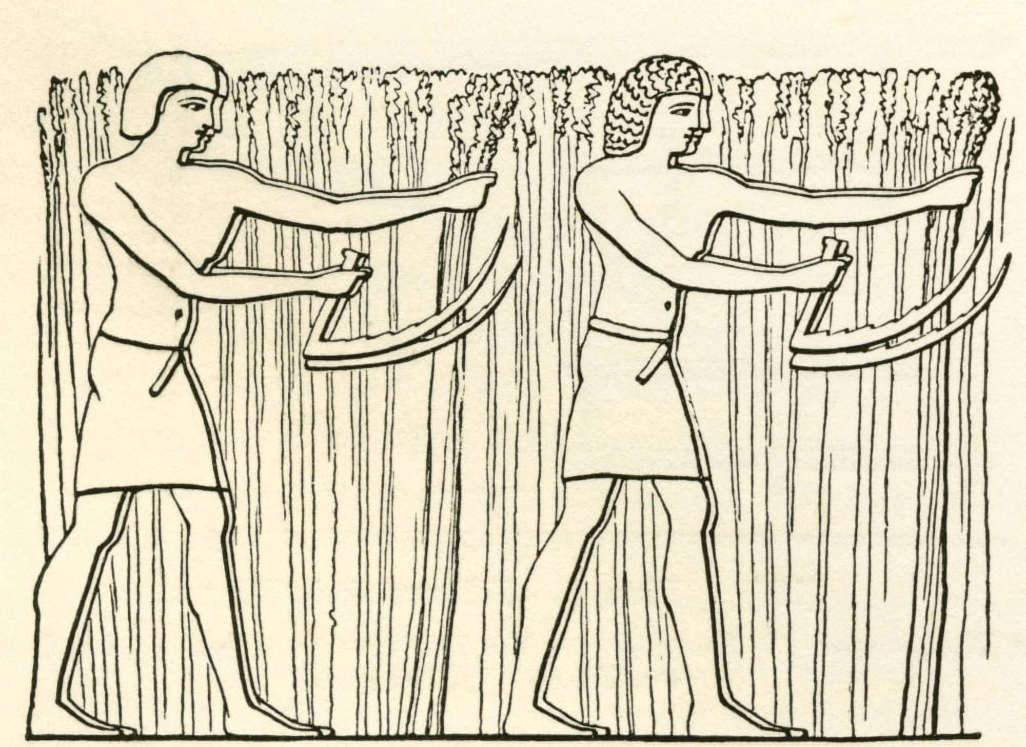 Reaping in ancient Egypt From The Imperial Bible Dictionary published 1889 Canvas Art - Ken Welsh Design Pics (16 x 12)
