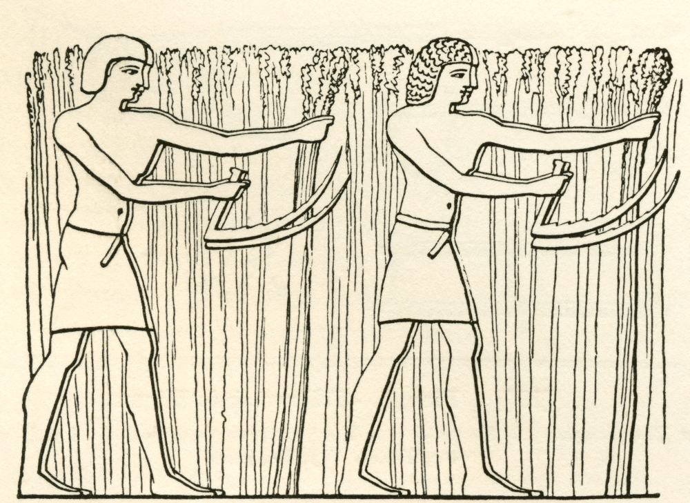 Reaping in ancient Egypt From The Imperial Bible Dictionary published 1889 Canvas Art - Ken Welsh Design Pics (32 x 24)