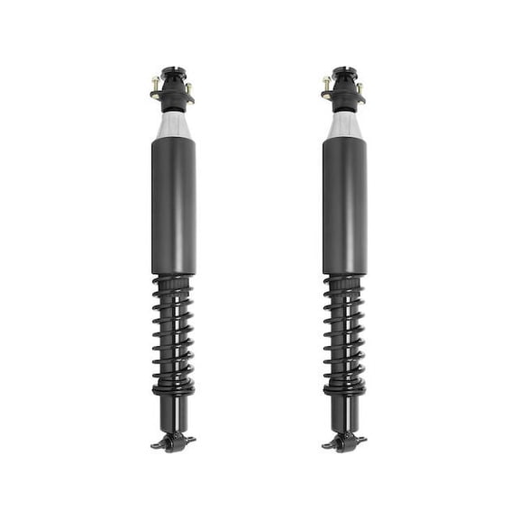Rear Air Spring to Coil Spring Conversion Kit - Compatible with 1997 - 2005 Buick Park Avenue 1998 1999 2000 2001 2002 2003 2004