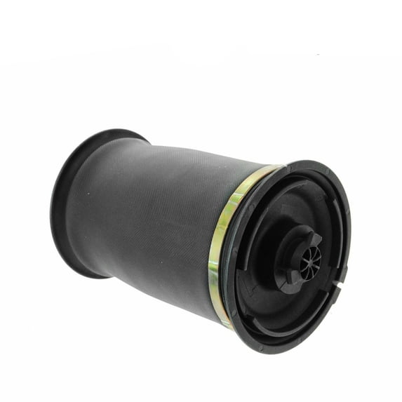 Rear Air Suspension Spring Bag Left or Right For 07-18 X5 08-18 X6 X5