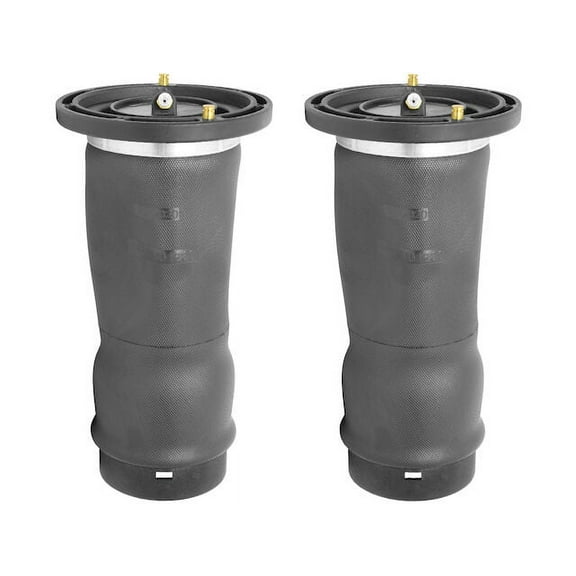 Rear Air Suspension Spring Set - Compatible with 1999 - 2004 Land Rover Discovery 2000 2001 2002 2003