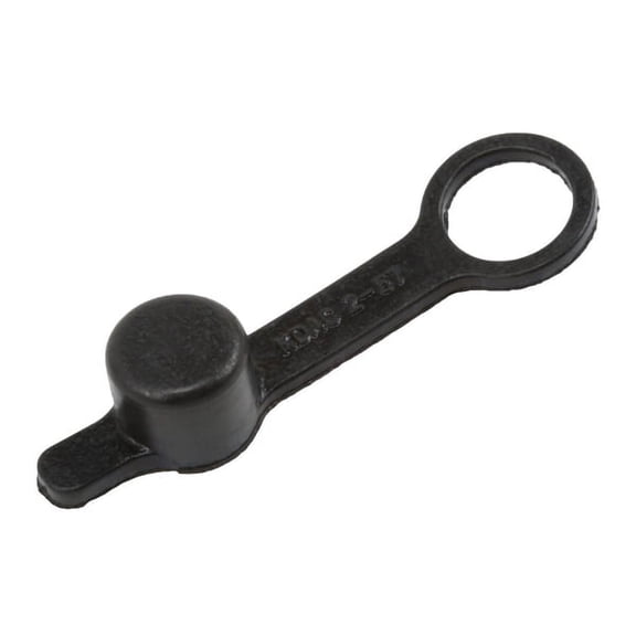 Rear Brake Bleeder Valve Cap