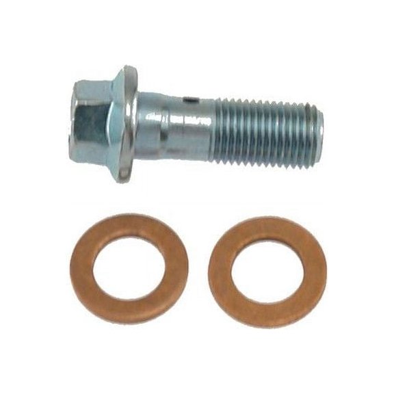 Rear Brake Hydraulic Banjo Bolt - Compatible with 2002 - 2006 Chevrolet Avalanche 1500 - Carlson