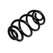 Rear Coil Spring - Compatible with 1998 - 2005 Volkswagen Passat FWD Sedan 1999 2000 2001 2002 2003 2004