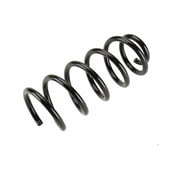Rear Coil Spring - Compatible with 1999 - 2005 Volkswagen Passat Sedan 2000 2001 2002 2003 2004