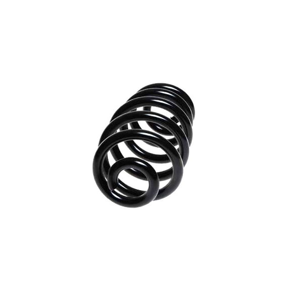 Rear Coil Spring - Compatible with 2002 - 2008 Audi A4 Quattro 2003 2004 2005 2006 2007