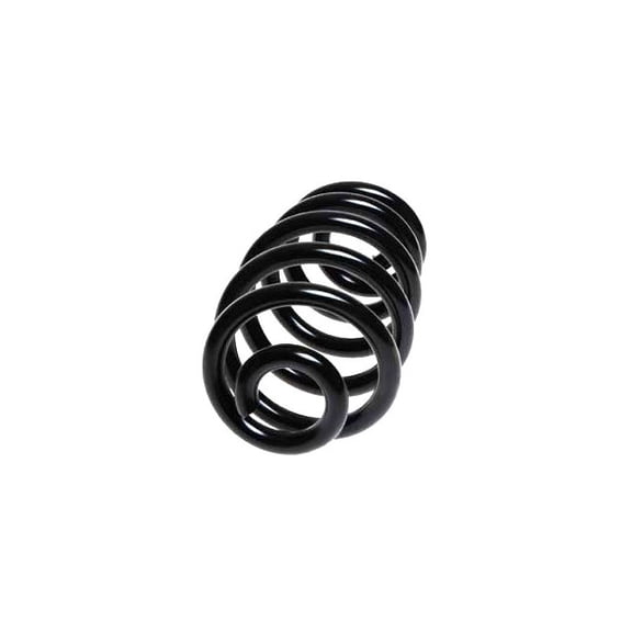Rear Coil Spring - Compatible with 2002 - 2008 Audi A4 Quattro 2003 2004 2005 2006 2007