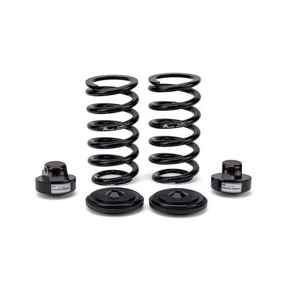 Rear Coil Spring Lowering Kit - Compatible with 2004 - 2005 Mercedes-Benz E320 Wagon