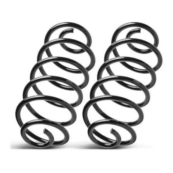 Rear Coil Spring Set 2 - Compatible with 1992 - 1996 Buick Roadmaster 5.7L V8 1993 1994 1995