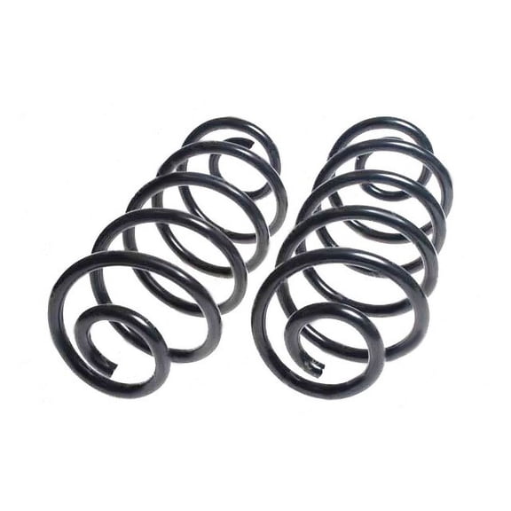 Rear Coil Spring Set - Compatible with 1977 - 1978 Buick Estate Wagon