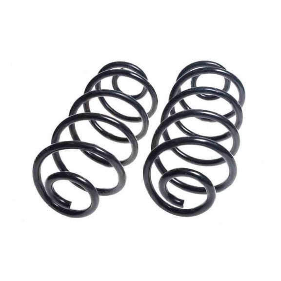 Rear Coil Spring Set - Compatible with 1992 - 1996 Buick Roadmaster Wagon 1993 1994 1995