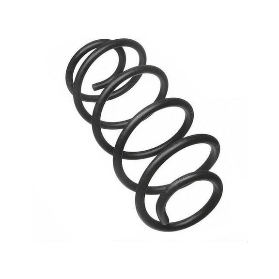 Rear Coil Spring Set - Compatible with 2002 - 2007, 2010 Saturn Vue AWD 2003 2004 2005 2006