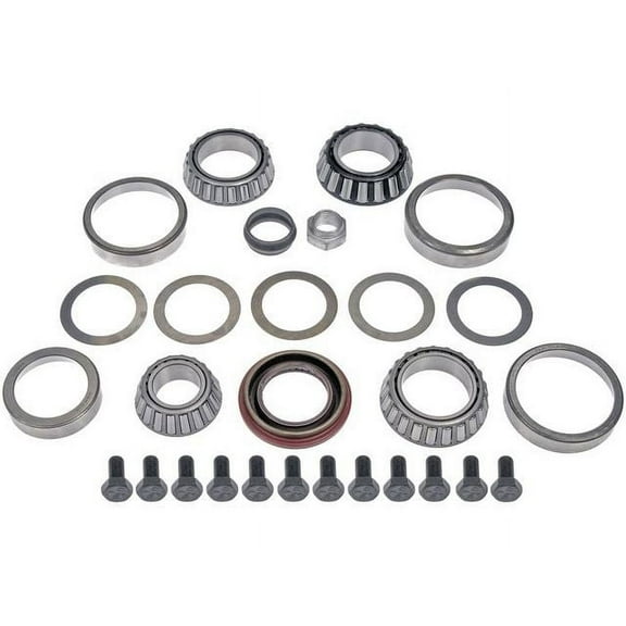 Rear Differential Bearing Kit - 9.25 Inch Ring Gear - with Bearings, Races, Shims, Pinion Nut, Seals, and Marking Compound - Compatible with 2001 - 2010 Dodge Ram 1500 2002 2003 2004 2005 2006