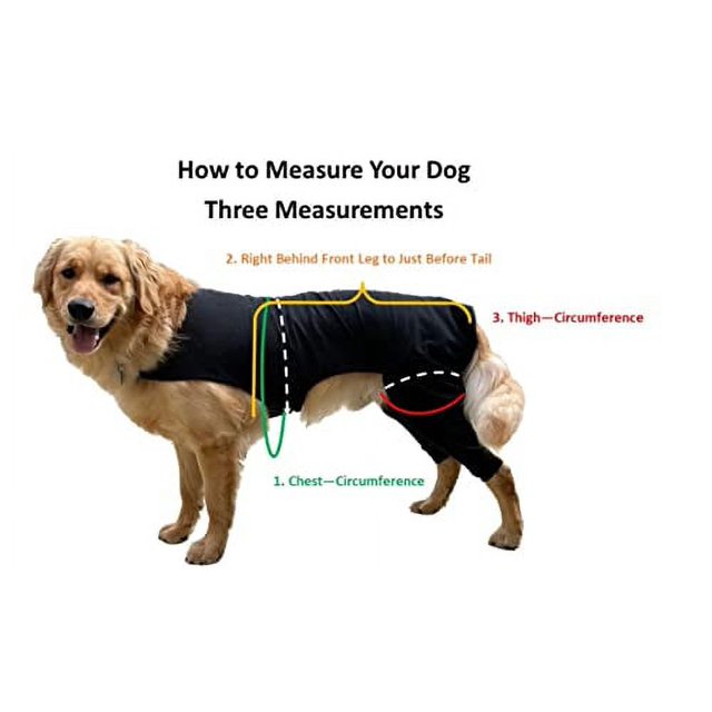 Rear Leg Sleeve Prevents Licking Back Legs, Cone of Shame Alternative